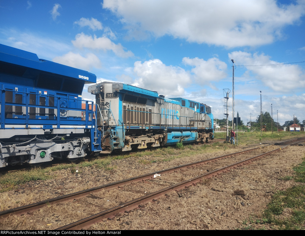RUMO 9819